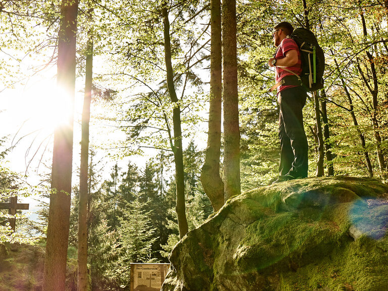 Ein Wanderer steht auf einem Felsen im Nationalpark Bayerischer Wald und blickt in die Landschaft. Sonnenstrahlen dringen durch das Blätterdach.