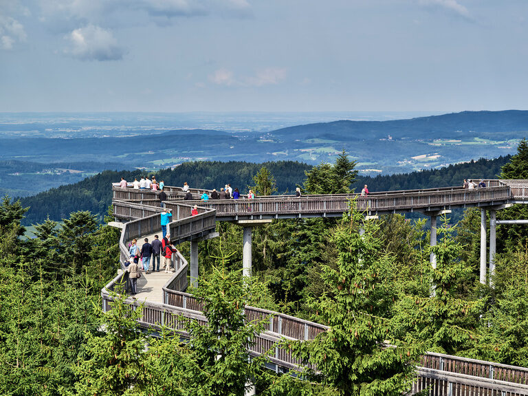 Der Baumwipfelpfad in St. Englmar schlingert durch die Baumkronen des Bayerischen Waldes.